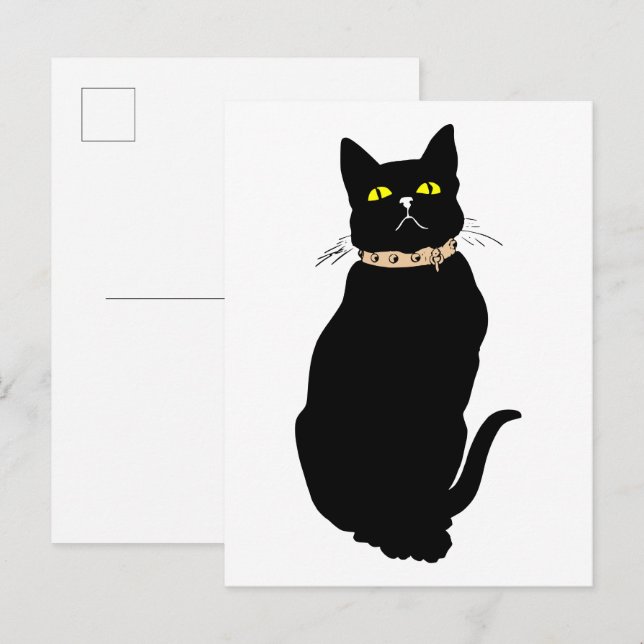 Black cat, animal illustration postcard (Front/Back)