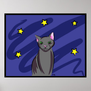 Black Cat at Night Poster