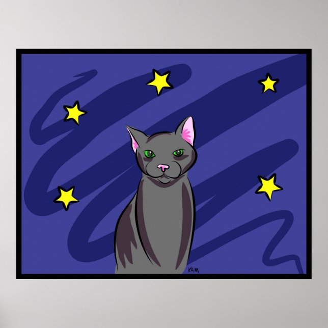 Black Cat at Night Poster (Front)