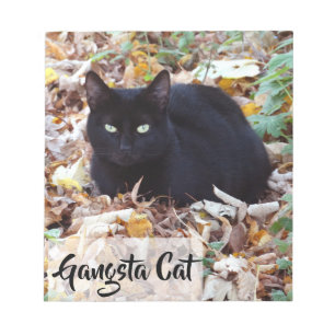 Black cat Autumn leaves Photo  Notepad - 40 pages