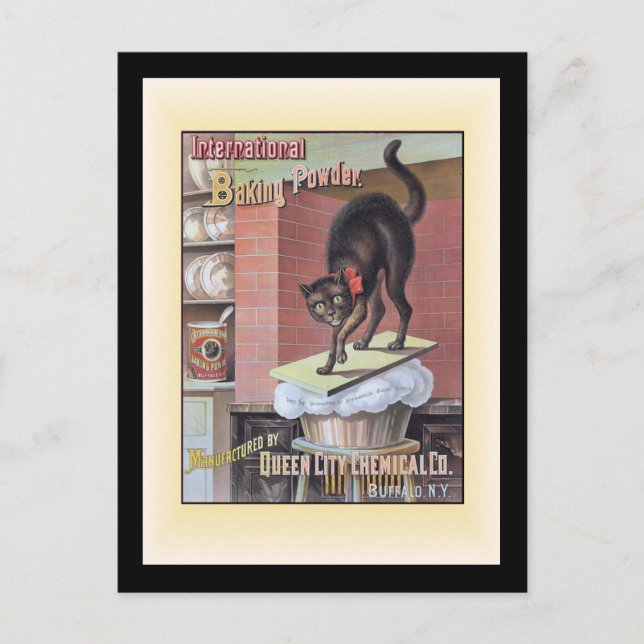 Black Cat Baking Soda Buffalo New York Postcard (Front)