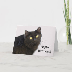 Black Cat Birthday Card by Focus for a Cause