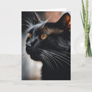 Black Cat Birthday Humour Card
