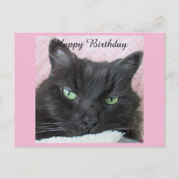 Black Cat Birthday Postcard
