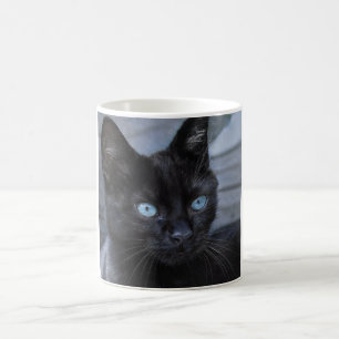 Black cat blue eyes beauty  coffee mug