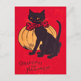Black Cat Bowtie Pumpkin Vintage Postcard