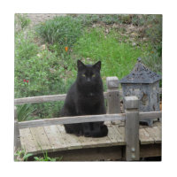 Black Cat Bridge Ceramic Tile