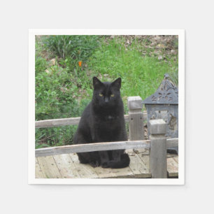 Black Cat Bridge Cocktail Napkins
