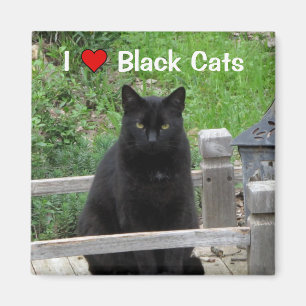 Black Cat Bridge I Love Black Cats Magnet