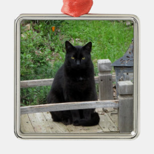 Black Cat Bridge Ornament