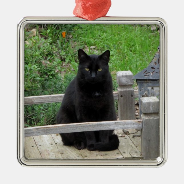 Black Cat Bridge Ornament (Front)