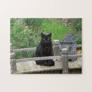 Black Cat Bridge Puzzle