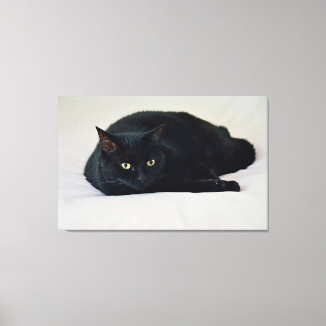 Black Cat Canvas Print (Front)