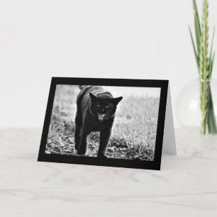 "Black Cat" Card