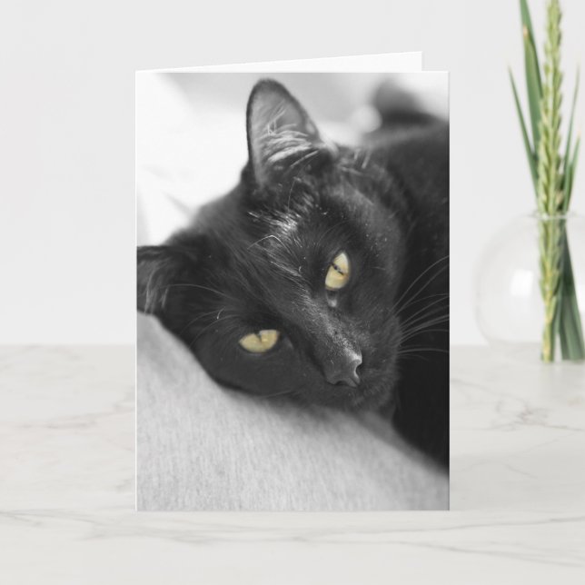 black cat card (Front)