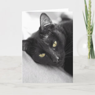 Black cat card