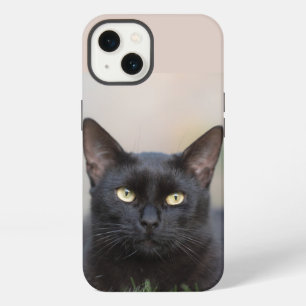 black cat Case-Mate iPhone case