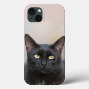 black cat Case-Mate iPhone case