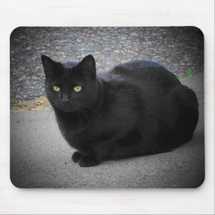 Black Cat Caught in a moon beam Mouse Mat