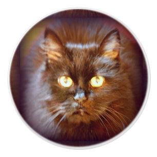 black cat ceramic knob
