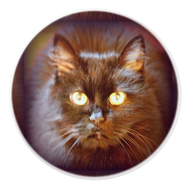 black cat ceramic knob (Front)