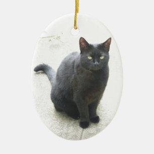 Black Cat Ceramic Tree Decoration
