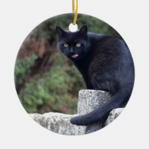 Black Cat Ceramic Tree Decoration