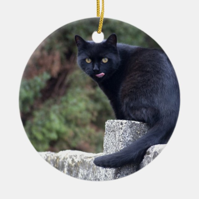 Black Cat Ceramic Tree Decoration (Front)