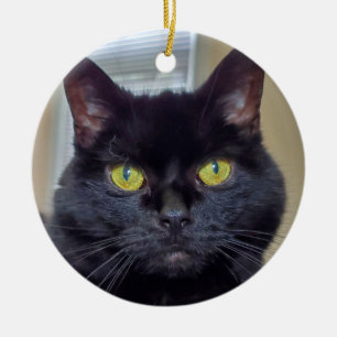 Black cat ceramic tree decoration