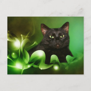 Black cat Christmas Holiday Postcard