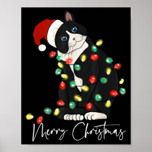 Black Cat Christmas Light Christmas Black Cat With Poster