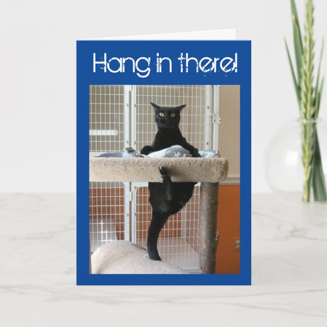 Black Cat Clinging to Cat Tree Card (Front)