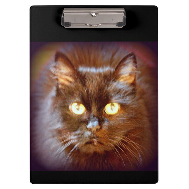 Black cat clipboard (Front)