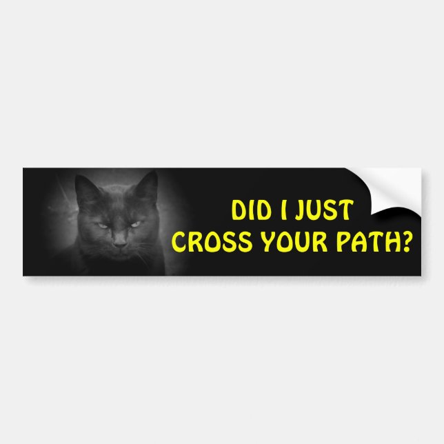 Black Cat crossed you path Bumper Sticker (Front)