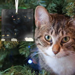 Black Cat Cuddle Pile Felines Cute Glass Tree Decoration