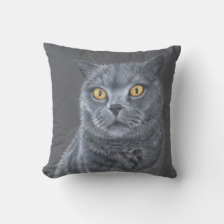 Black cat cushion