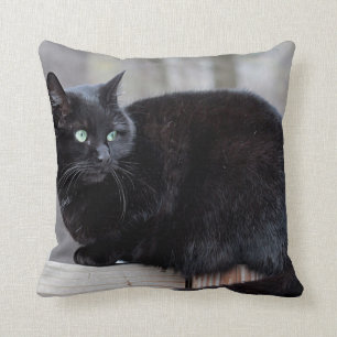 Black cat cushion