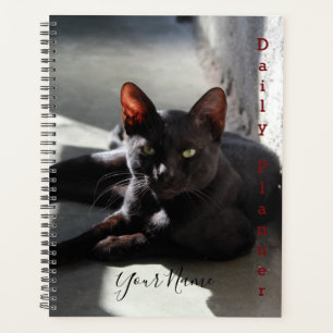 Black Cat - Daily Planner- HAMbWG Planner