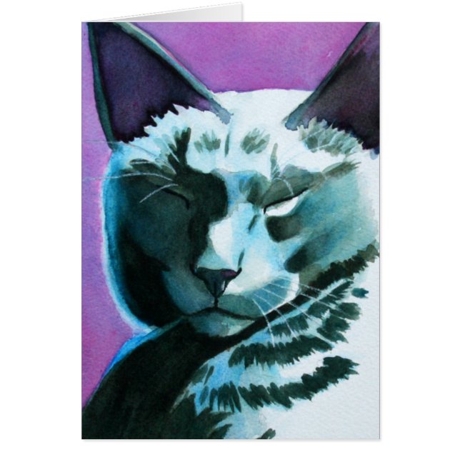 Black Cat Dozing Greeting Card (Front)