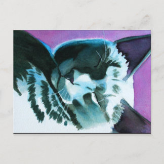 Black Cat Dozing Postcard