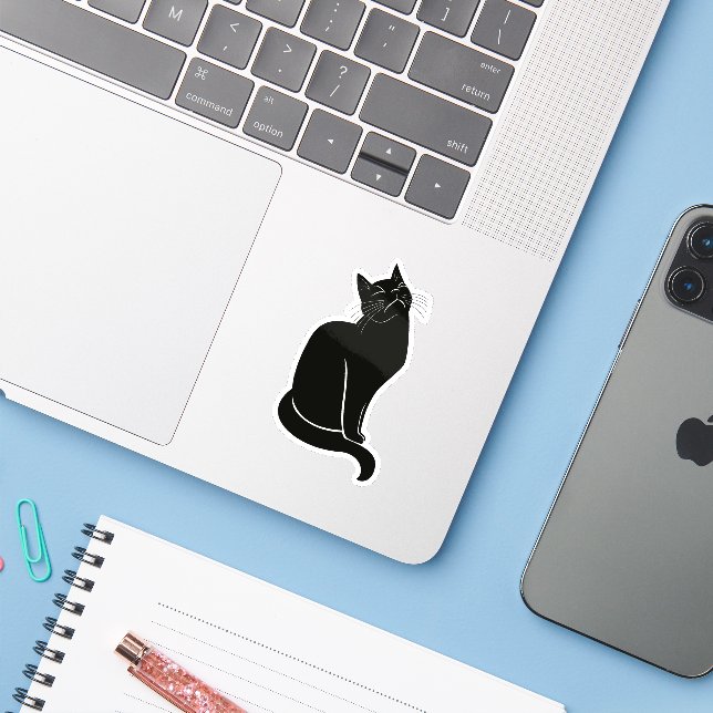 Black cat drawing (Laptop w/ iPhone)
