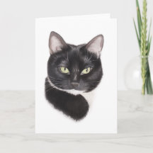 Black cat drawing greetings card