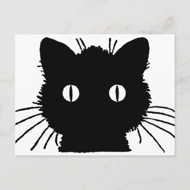Black cat - E.G. Lutz Postcard (Front)