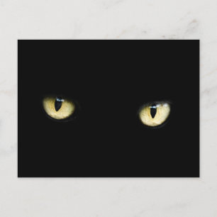 black cat eyes postcard