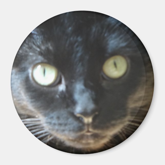 Black Cat Face Magnet (Front)