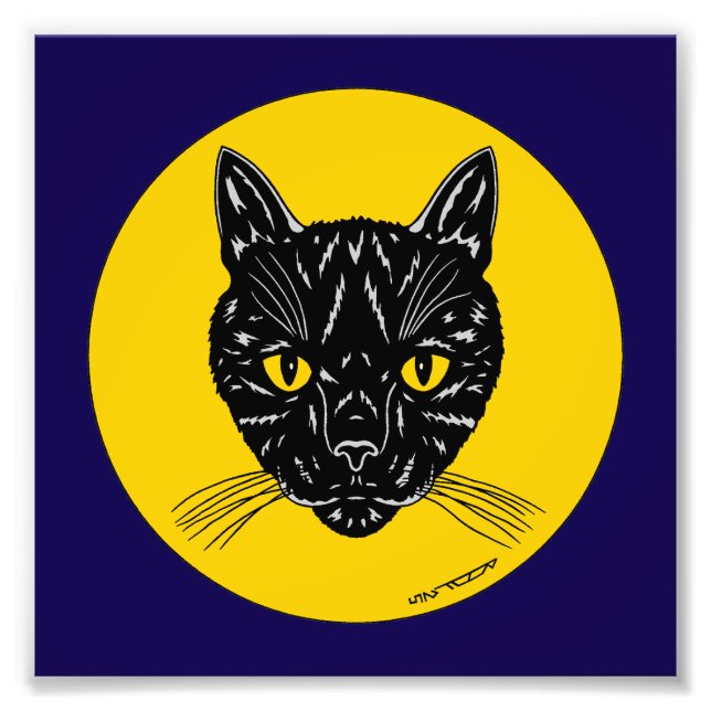 Black Cat Face Photo Print (Front)