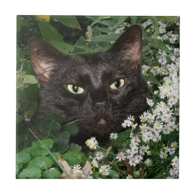 Black cat face tile (Front)
