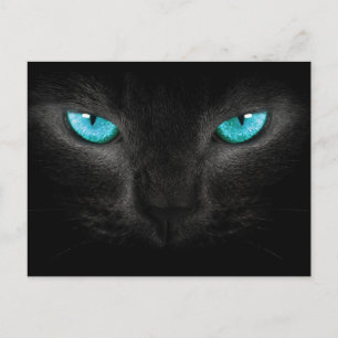 Black Cat Face with Turquoise Eyes Postcard