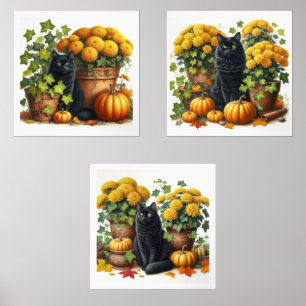 Black Cat Fall Season Flowers Pumpkins 