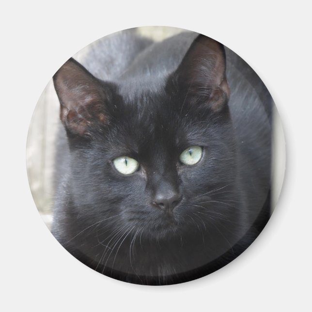 Black Cat Familiar Magnet (Front)